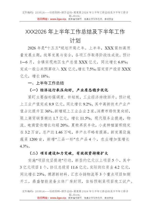 某某某2026年上半年工作总结及下半年工作计划