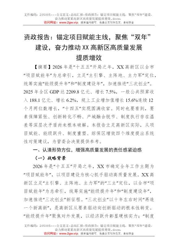 资政报告：锚定项目赋能主线，聚焦“双年”建设，奋力推动某某高新区高质量发展提质增效