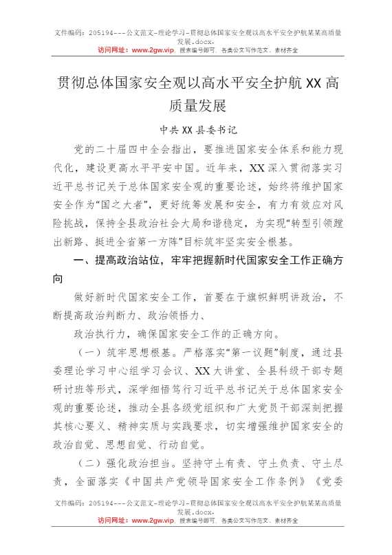 贯彻总体国家安全观以高水平安全护航某某高质量发展