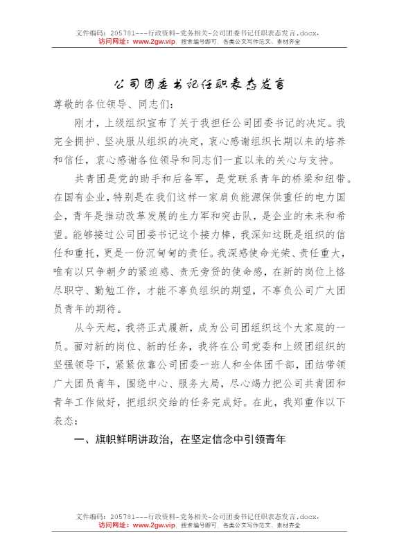 公司团委书记任职表态发言