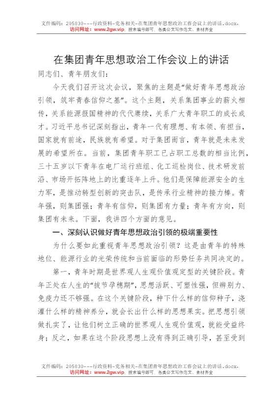 在集团青年思想政治工作会议上的讲话