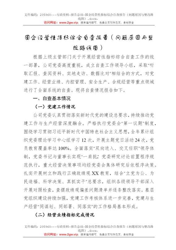 国企经营性指标综合自查报告（问题原因与整改路线图）
